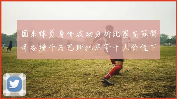 国米球员身价波动分析比塞克苏契奇各增千万巴斯托尼等十人价值下滑