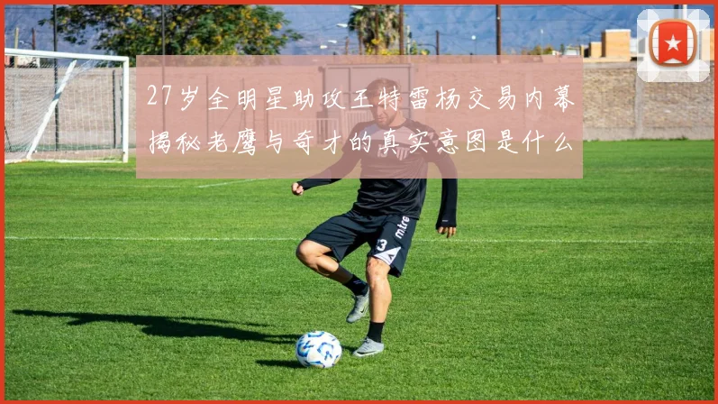 27岁全明星助攻王特雷杨交易内幕揭秘老鹰与奇才的真实意图是什么