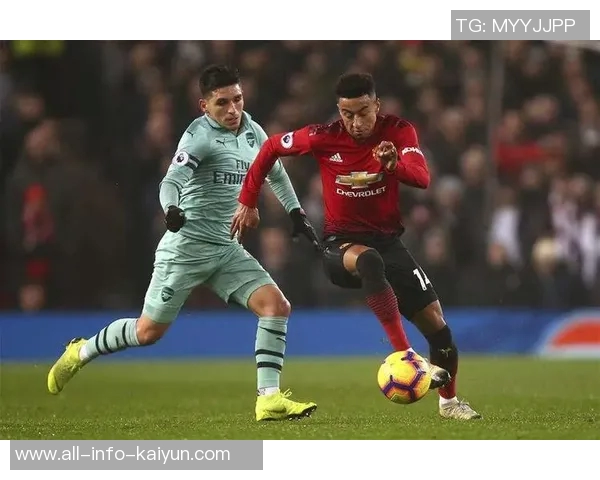 武什科维奇本赛季联赛争顶表现出色成功率超90未来可期