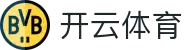 开云·体育(中国)官方网站_KAIYUN SPORTS